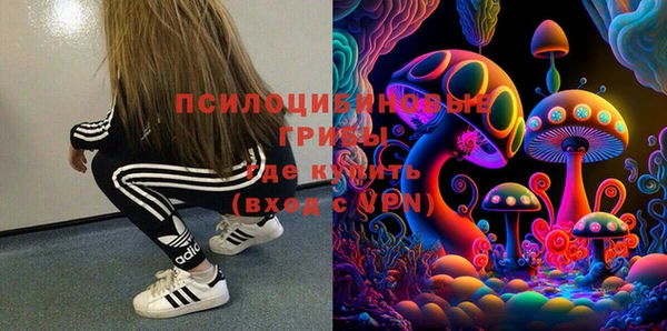мдпв Алзамай