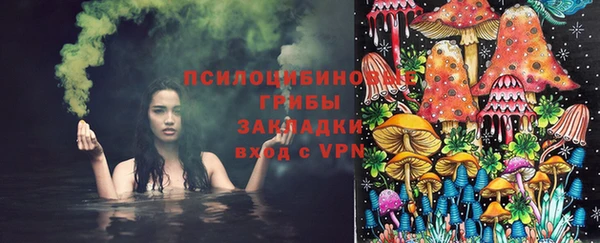 дурь Алексин